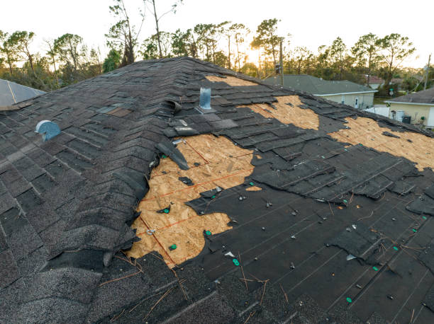 Best Asphalt Shingles Roofing  in Mathews, LA